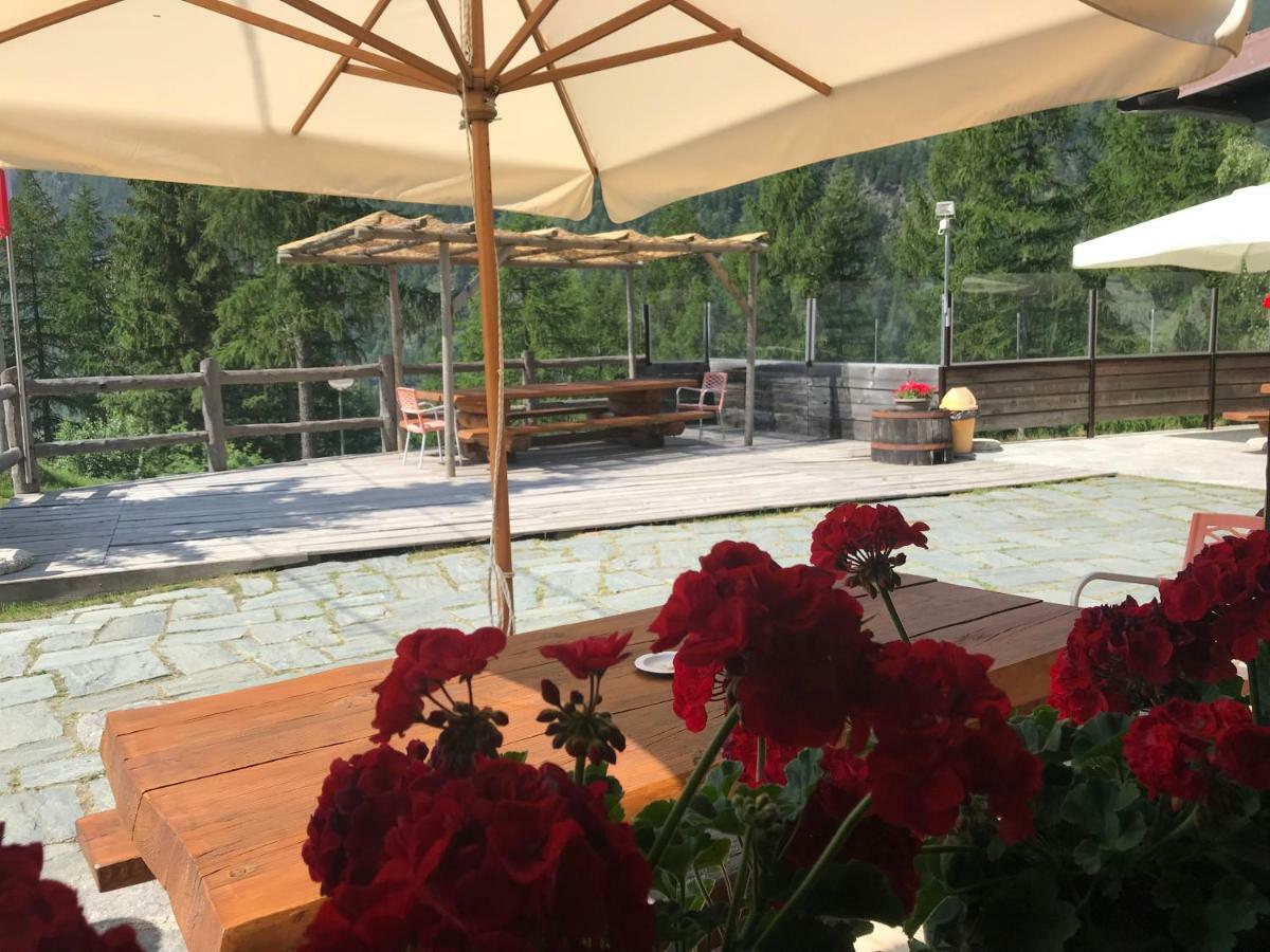 Sasso Nero Hotell Chiesa in Valmalenco Exteriör bild